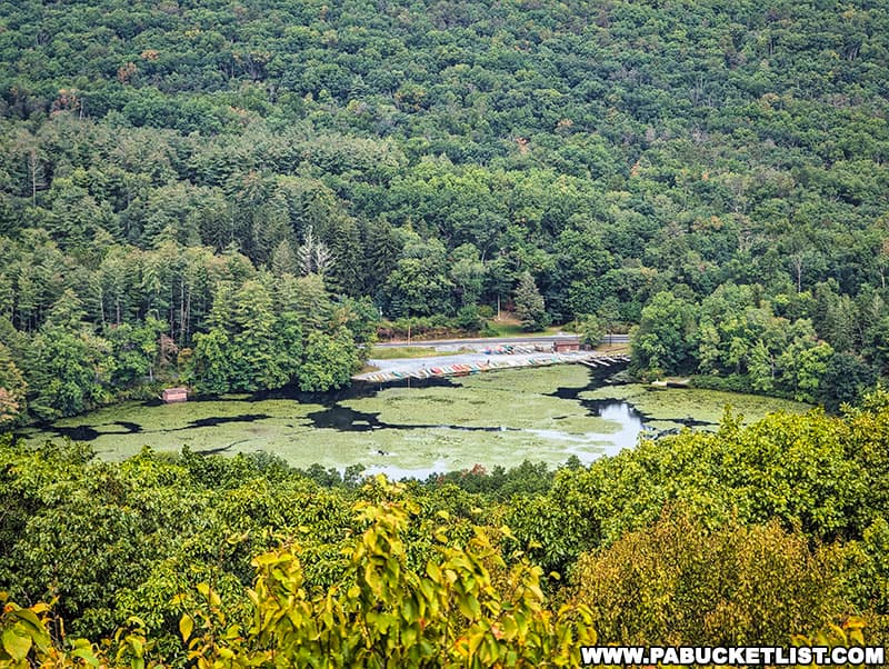 Looking down on Laurel Lake from Pole Steeple Overlook in the Michaux State Forest.