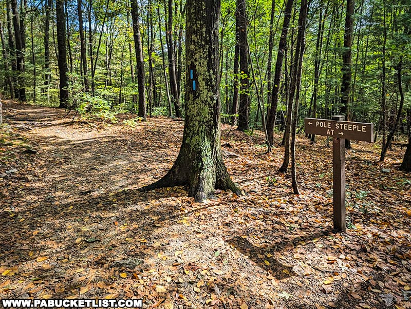 A short link trail exists between Pole Steeple Trail and the Appalachian Trail.