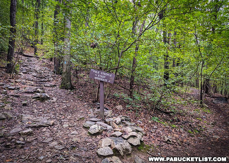 A steeper shortcut portion of the trail is an option when hiking to and from Pole Steeple Overlook in Cumberland County Pennsylvania.