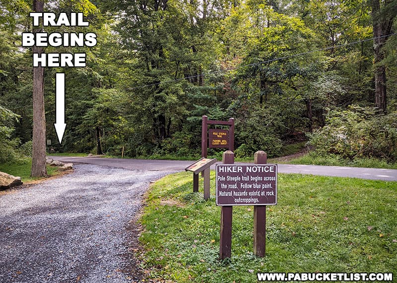 The trail to Pole Steeple Overlook begins on the opposite side of Railroad Bed Road from the parking area and Laurel Lake.