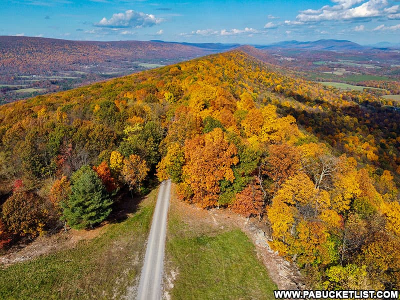 Summit Road disappearing into the fall foliage in the Buchanan State Forest.