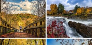 The 12 best places to view fall foliage at Ohiopyle State Park in Fayette County Pennsylvania.