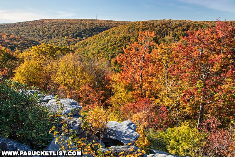 Fall foliage views from Wolf Rocks Overlook in the Forbes State Forest.