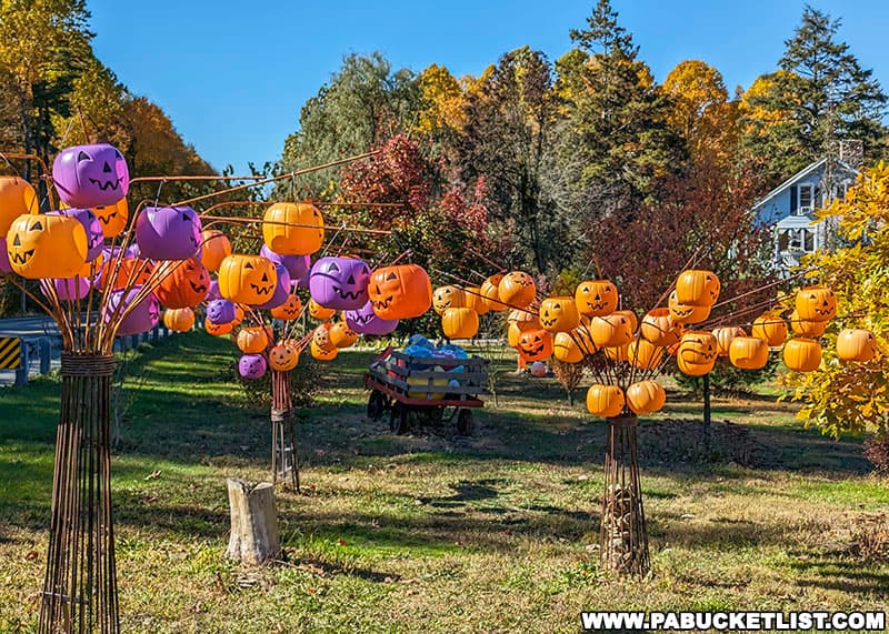 The Garden of Wimsy decorated for Haloween at Mister Ed's Elephant Museum and Candy Emporium.