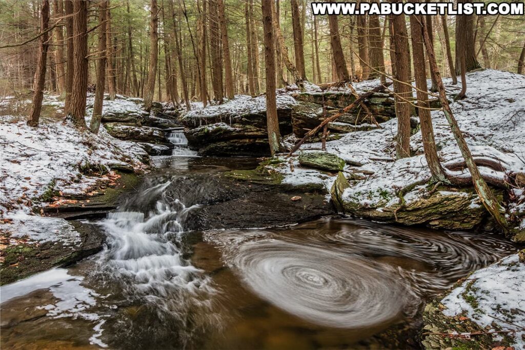 A serene winter scene along the Mountain Springs - Cherry Run loop at Ricketts Glen State Park, showcasing a gentle cascade flowing over layered slate rocks into a still pool that reflects a mesmerizing swirl of foam. Tall, slender trees, their trunks darkened with moisture, rise from the snow-dappled earth, standing as silent sentinels over the tranquil waters. The contrast between the motion of the stream and the stillness of the snow-covered landscape evokes a sense of peaceful solitude.