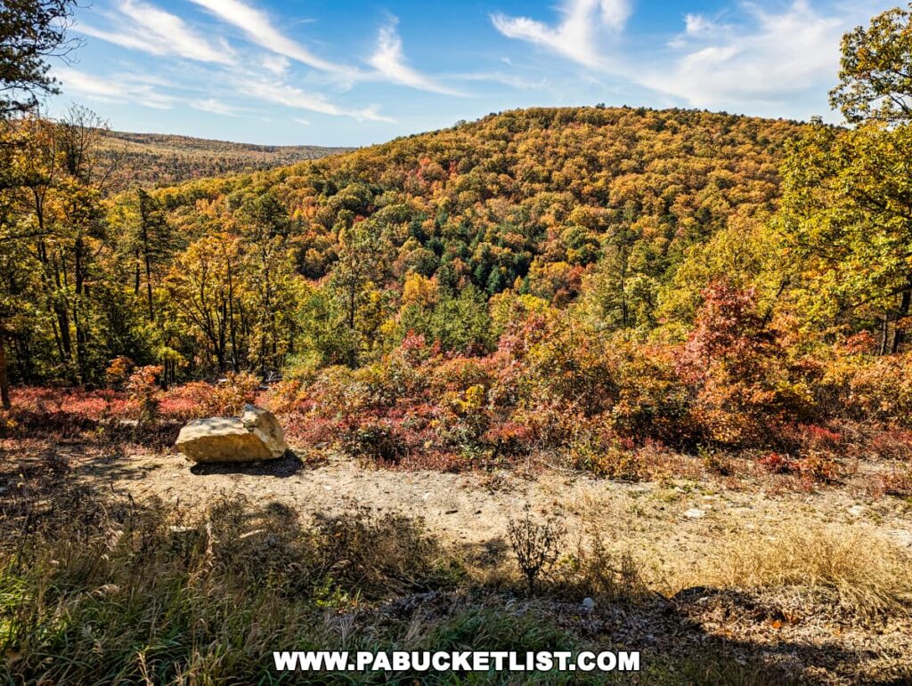 Roadside view from Cameron-Masland Mansion with a large rock overlooking a forest in vibrant autumn colors in Cumberland County, PA.