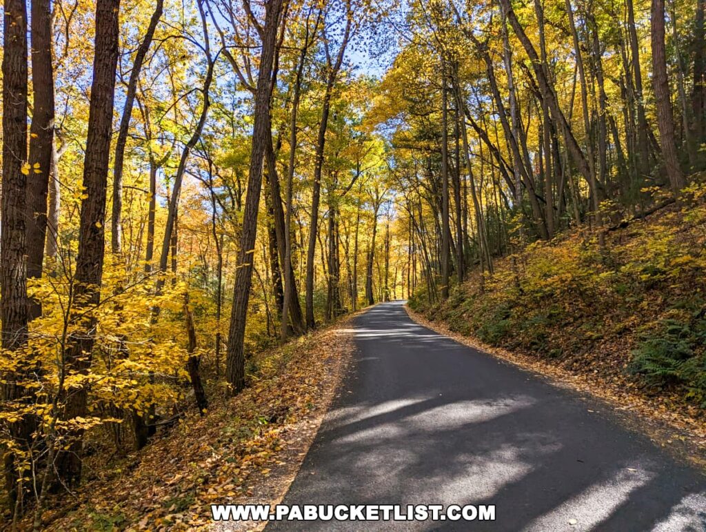 Asphalt road winding through a colorful autumn forest on the way to Cameron-Masland Mansion in Cumberland County, Pennsylvania.