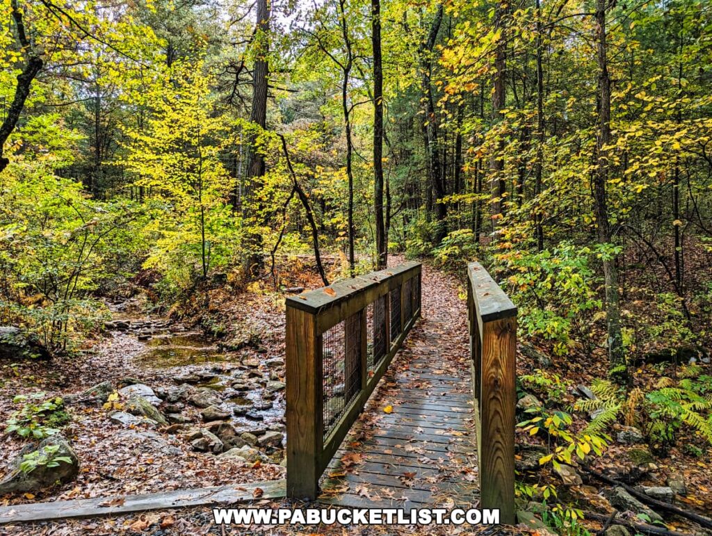 Wooden footbridge over a rocky creek surrounded by the lush green and yellow foliage of autumn in the woods near the Cameron-Masland Mansion.