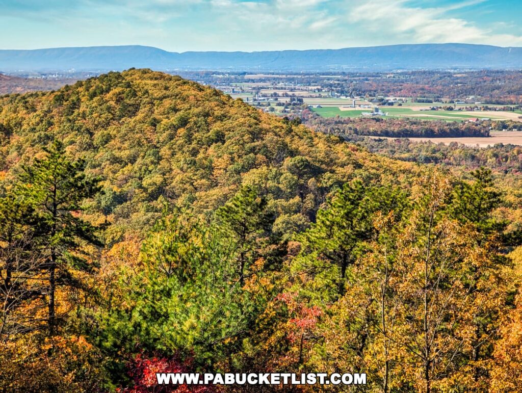 Lush autumn canopy with a mix of green and fall colors in the foreground, with a backdrop of Cumberland Valley's farmlands and Blue Mountain.