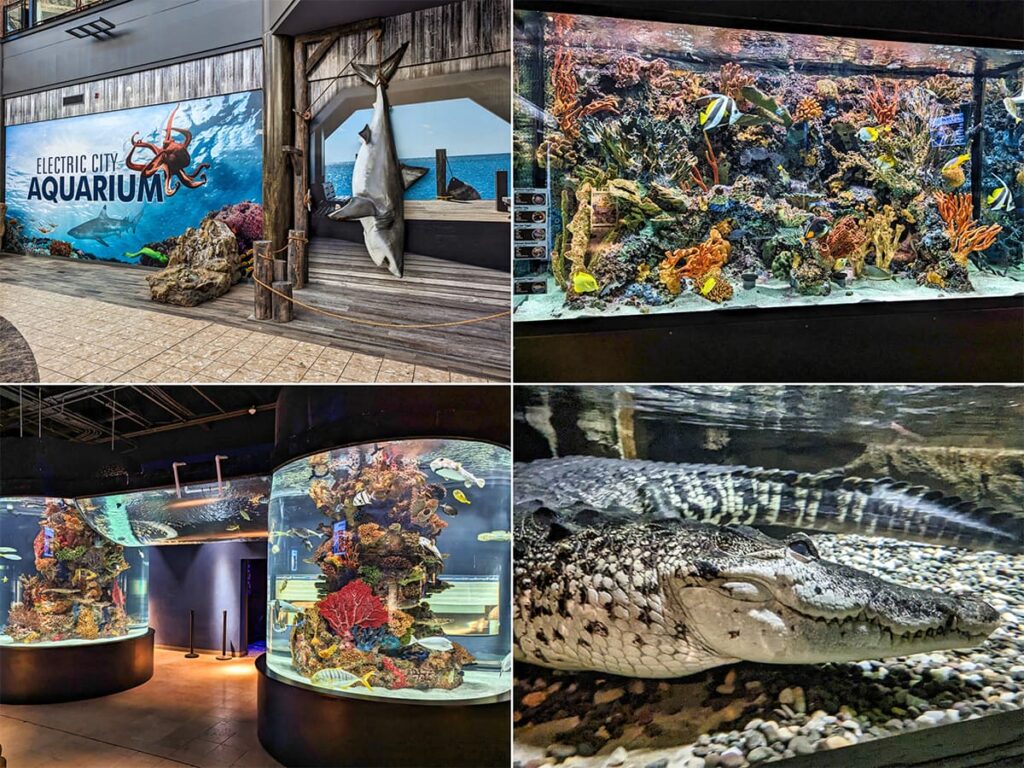 Collage of Electric City Aquarium exhibits in Scranton: mural entrance, shark display, coral reef tanks, and a crocodile.