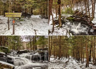 This collage features four diverse scenes from the Mountain Springs - Cherry Run loop in Ricketts Glen State Park during winter. Upper left: a wooden trail sign against a snowy path. Upper right: a lively stream meandering through a snowy forest. Lower left: a series of small, icy cascades framed by rock ledges. Lower right: a peaceful snowy trail flanked by tall evergreens, inviting exploration.