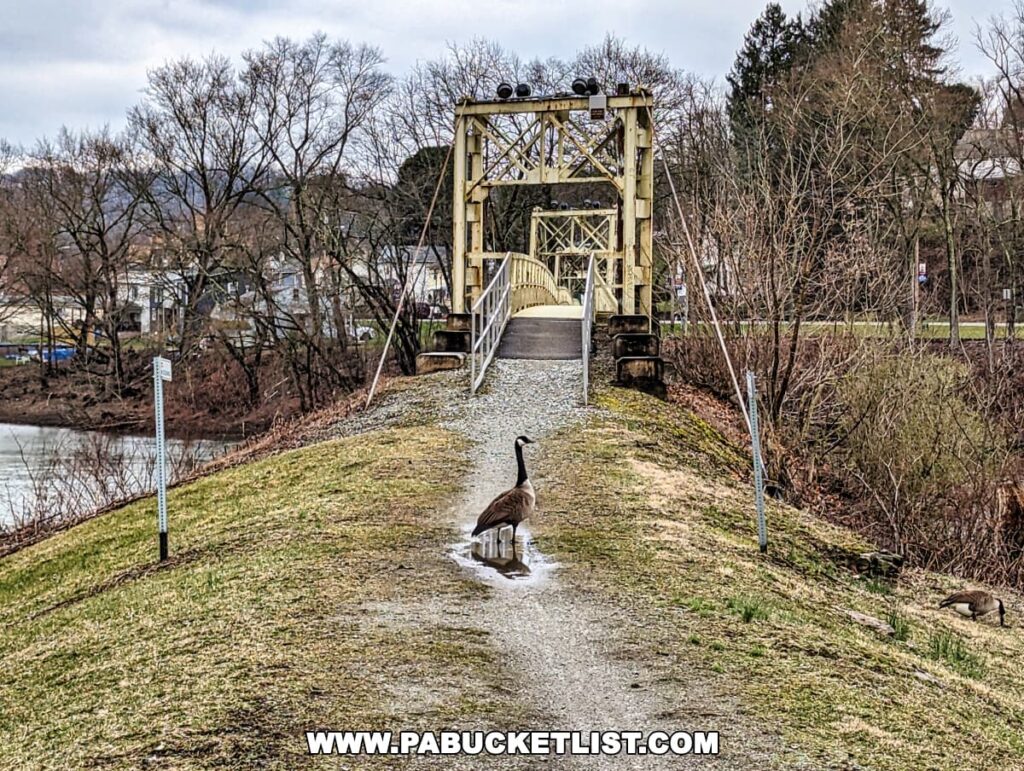 A Canadian goose stands on a gravel path leading to the entrance of the Hyde Park Walking Bridge in Western Pennsylvania. The bridge, with its distinctive yellow metal truss design, is in the background, and another goose is visible near the water's edge. Leafless trees and a cloudy sky can be seen in the distance, creating a tranquil natural scene.