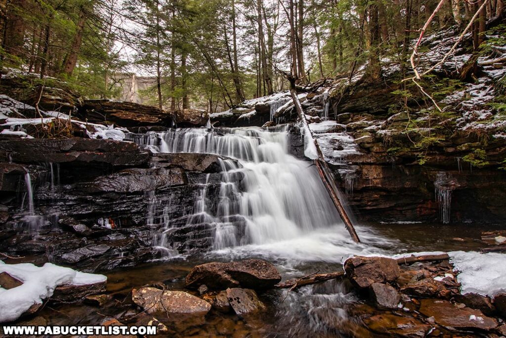 An image of Lake Leigh Falls along Kitchen Creek in Ricketts Glen State Park, Pennsylvania. The waterfall cascades over dark, wet shale ledges, surrounded by winter-bare trees with branches dusted in snow. Icicles hang from the rocky outcrops, and patches of snow cling to the edges of the creek, where the rushing water has resisted the freeze. The peaceful yet powerful presence of the waterfall contrasts with the stillness of the surrounding snowy landscape.