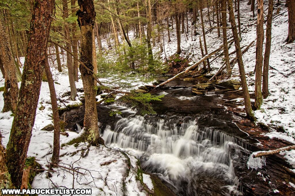 A photo of Little Cherry Run Trail Cascades at Ricketts Glen State Park. A series of small waterfalls flow over dark, slick rocks amidst a forest of trees with trunks coated in vibrant green moss. The ground is scattered with patches of melting snow, hinting at the transition between seasons. Fallen branches and the texture of the flowing water add a dynamic element to the otherwise serene woodland landscape.