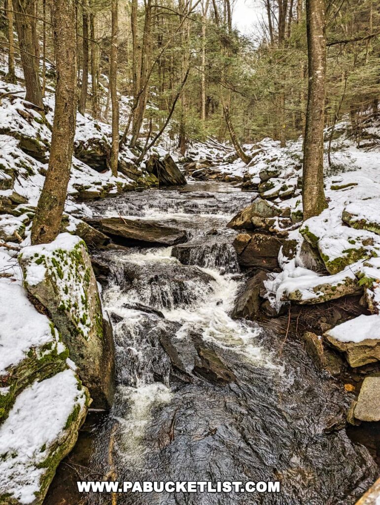 A lively stream cascades down the rocky terrain along the Mountain Springs - Cherry Run loop at Ricketts Glen State Park. The surrounding woods are partially covered with snow, highlighting the rough textures of stones and the rugged beauty of the winter landscape. The creek's water is crystal clear, flowing energetically over and around the snow-draped rocks, flanked by slender trees with their bare branches reaching towards the sky.