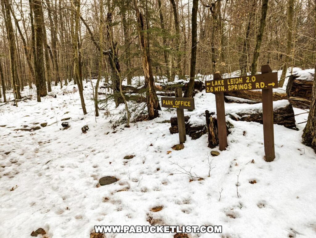 A snow-covered trail at Ricketts Glen State Park with directional wooden signs pointing towards 'Lake Leigh 2.0' and 'Mtn. Springs Rd. 2.6.' The signs are set among a wintry forest landscape, with trees bare of leaves and the ground blanketed in snow. The quiet, dormant woods convey a sense of peaceful navigation through the park's trails in the cold season.