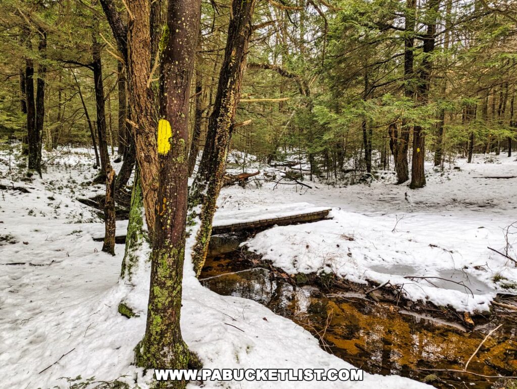 A natural trail in Ricketts Glen State Park marked by a yellow blaze on a tree trunk, leading to a simple wooden footbridge over a small stream. The forest floor is partially covered with snow, reflecting the quiet of a winter day. Evergreen trees provide a splash of green against the white and brown backdrop, creating a serene and inviting path for hikers in the park.