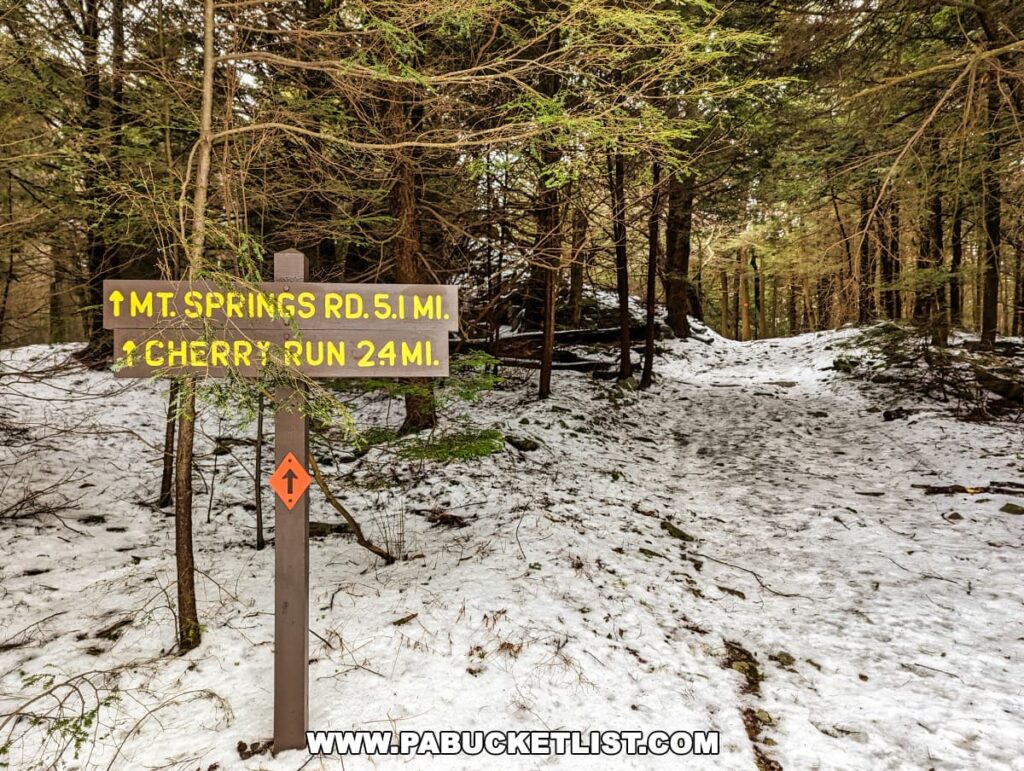 A trail sign at Ricketts Glen State Park pointing to Mountain Springs Rd. and Cherry Run along a snowy path. The sign, set against a backdrop of evergreen trees, indicates the trail directions with bright yellow lettering. A fresh layer of snow blankets the ground, while the overcast sky adds a serene and wintry mood to the forest scene.