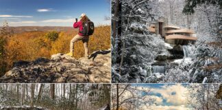 Collage of four seasonal outdoor scenes in Fayette County, Pennsylvania, showcasing a hiker photographing the autumn foliage, Fallingwater house surrounded by winter snow, a photographer capturing a frozen waterfall, and a person jogging on a wooden bridge amidst vibrant fall colors.