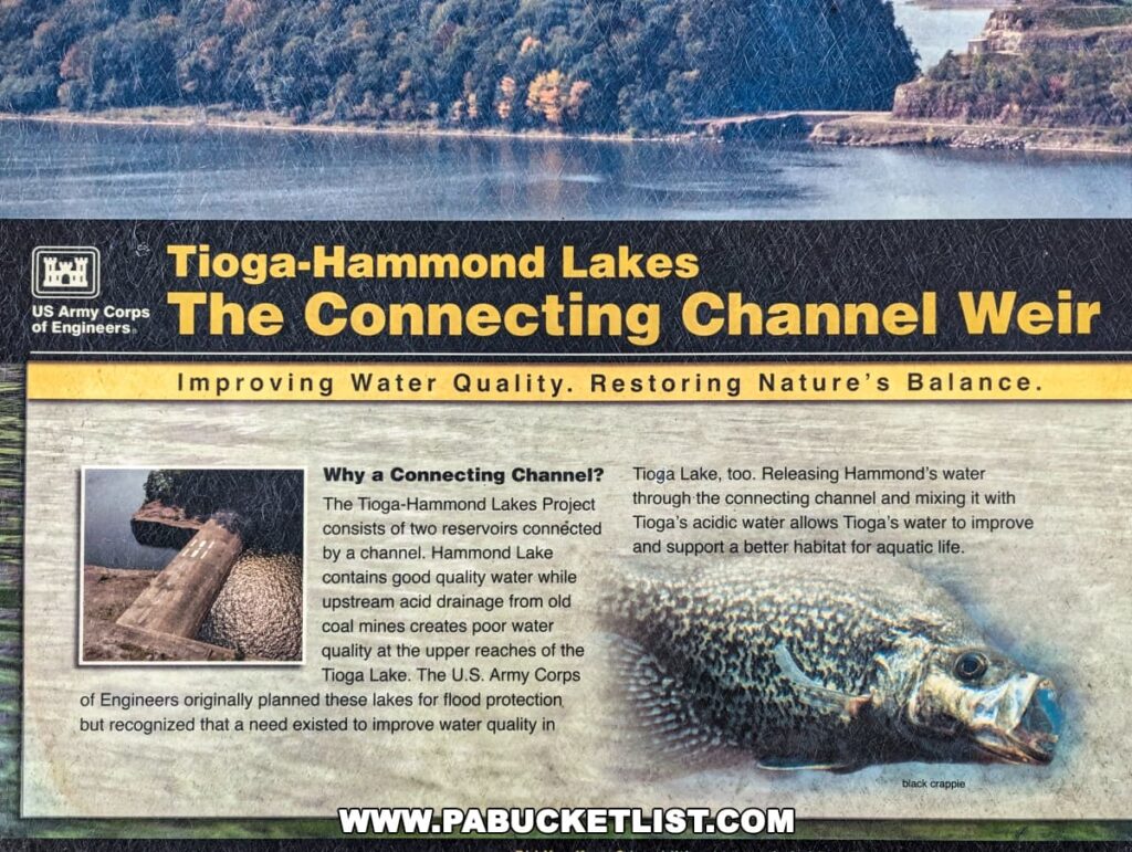 An informative sign at the Tioga-Hammond Lakes Overlook in Tioga County, Pennsylvania, explaining 'The Connecting Channel Weir'. It includes the US Army Corps of Engineers logo, an image of the channel, text about improving water quality and restoring nature's balance, and a picture of a black crappie to represent local aquatic life.