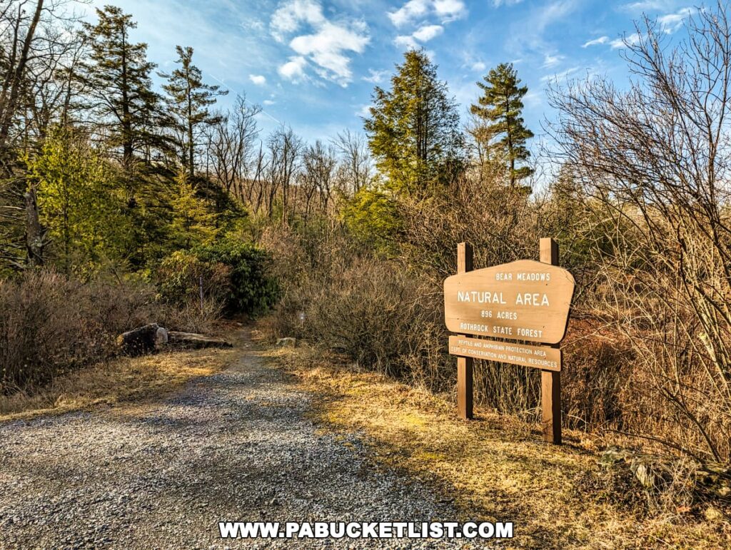 A welcoming sign at the entrance to the Bear Meadows Natural Area in Rothrock State Forest, Centre County, Pennsylvania, indicating an expanse of 896 acres. The sign is wooden with carved and black-painted letters. It stands prominently at the side of a gravel path that leads into a mixed forest of evergreen and bare deciduous trees under a partly cloudy sky.