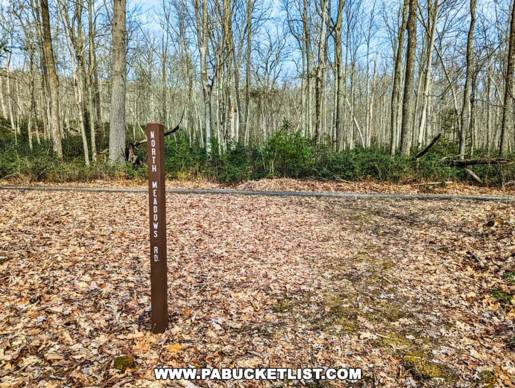 A trail marker for North Meadows Road stands prominently in the center of the image, marking a section of the Bear Meadows Loop Hike in Centre County, Pennsylvania. The brown, metal sign with white lettering stands on a bed of fallen leaves that blanket the ground. Bare deciduous trees surround the area, and a hint of green underbrush suggests the resilience of life in this tranquil forest setting. The path appears well-trodden, inviting hikers to continue their journey through the peaceful woodland.
