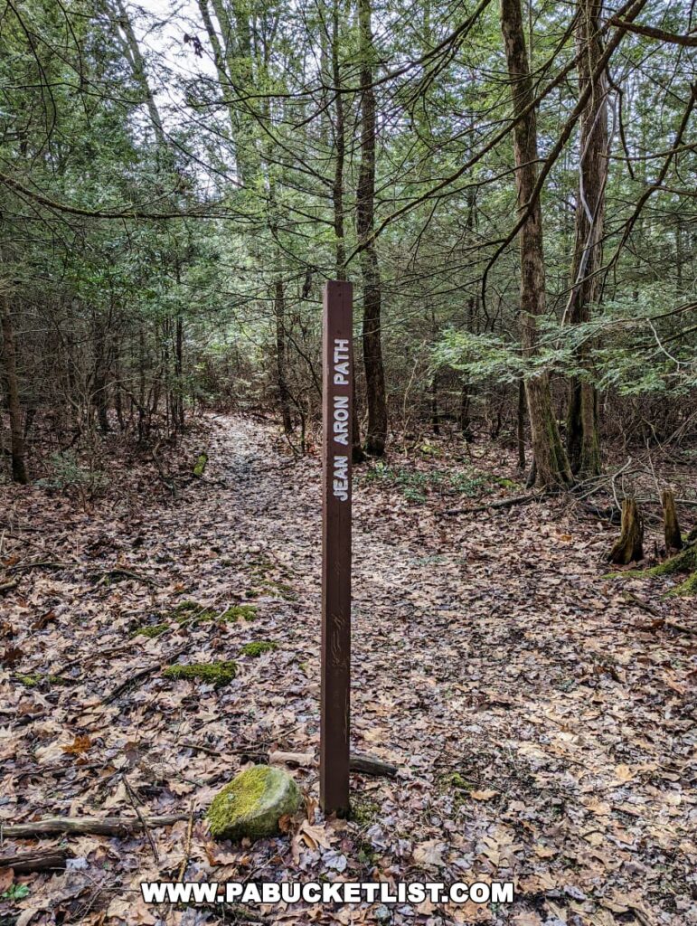 A trail sign reading 'Jean Aron Path' stands upright on a forest trail within the Bear Meadows Loop Hike in Centre County, Pennsylvania. The sign, with white lettering on a brown background, is positioned at the beginning of a leaf-strewn path that cuts through the woods. Surrounding trees, some with evergreen foliage, create a canopy over the trail. A moss-covered rock lies at the base of the sign, adding a touch of vibrant green to the otherwise dormant forest floor.