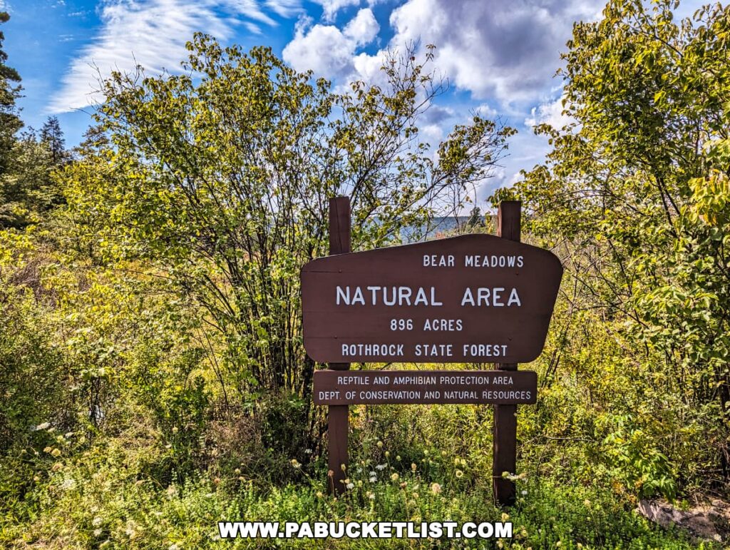 The welcoming sign at the entrance of Bear Meadows Natural Area, which is part of the Rothrock State Forest in Centre County, Pennsylvania, stands against a vibrant backdrop of green foliage and a blue sky with wispy clouds. The sign indicates the area encompasses 896 acres and is dedicated to the protection of reptiles and amphibians, managed by the Department of Conservation and Natural Resources.
