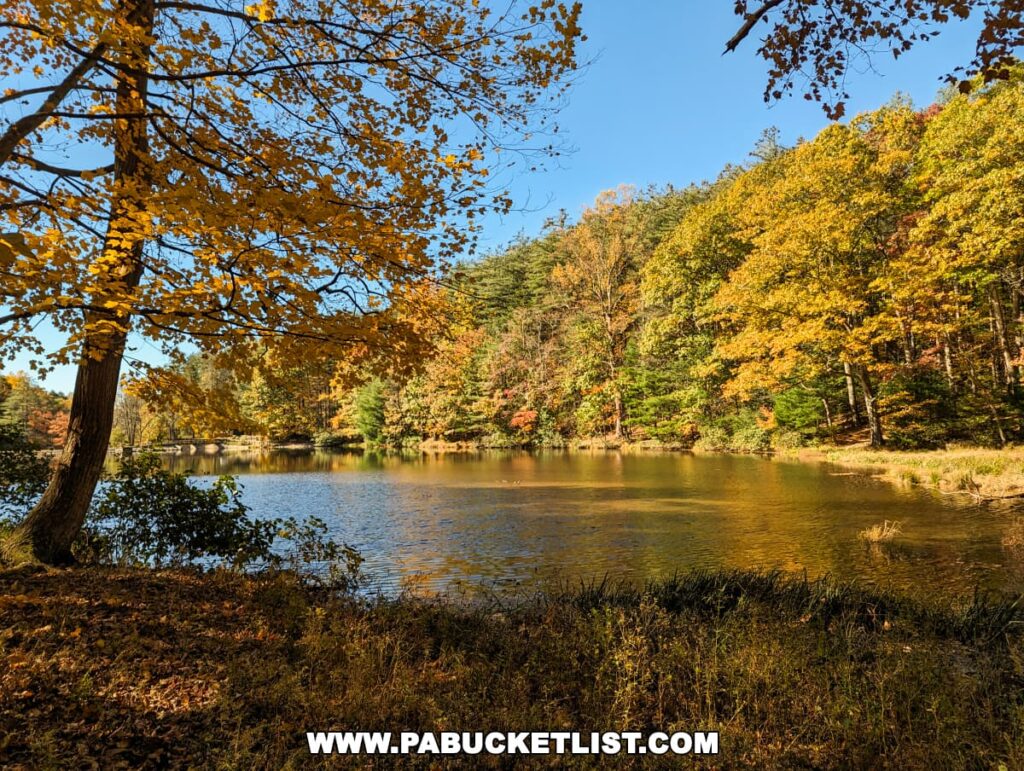 Lakeside view at Colonel Denning State Park in Cumberland County, PA, framed by a foreground of vibrant yellow leaves on a tree branch, with a background of dense autumnal trees in varying shades of yellow, orange, and green reflected in the calm lake waters under a clear blue sky.