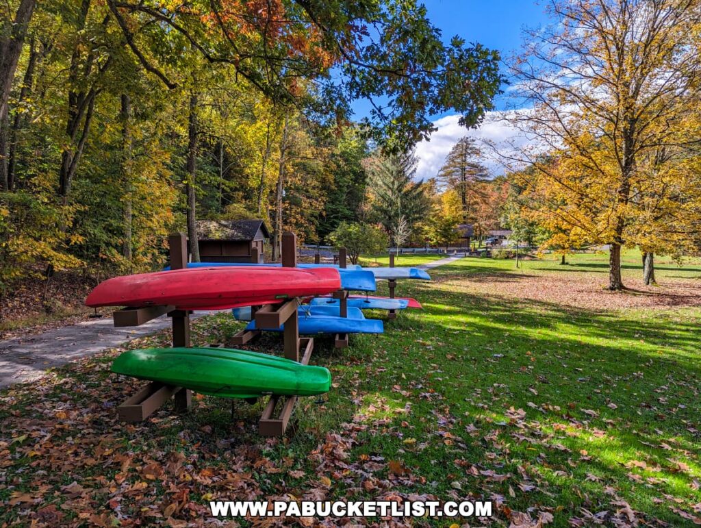 A row of kayaks lined up neatly on a grassy bank at Colonel Denning State Park in Cumberland County, Pennsylvania. The shadows cast by the kayaks lengthen in the late afternoon sun, creating a peaceful scene.