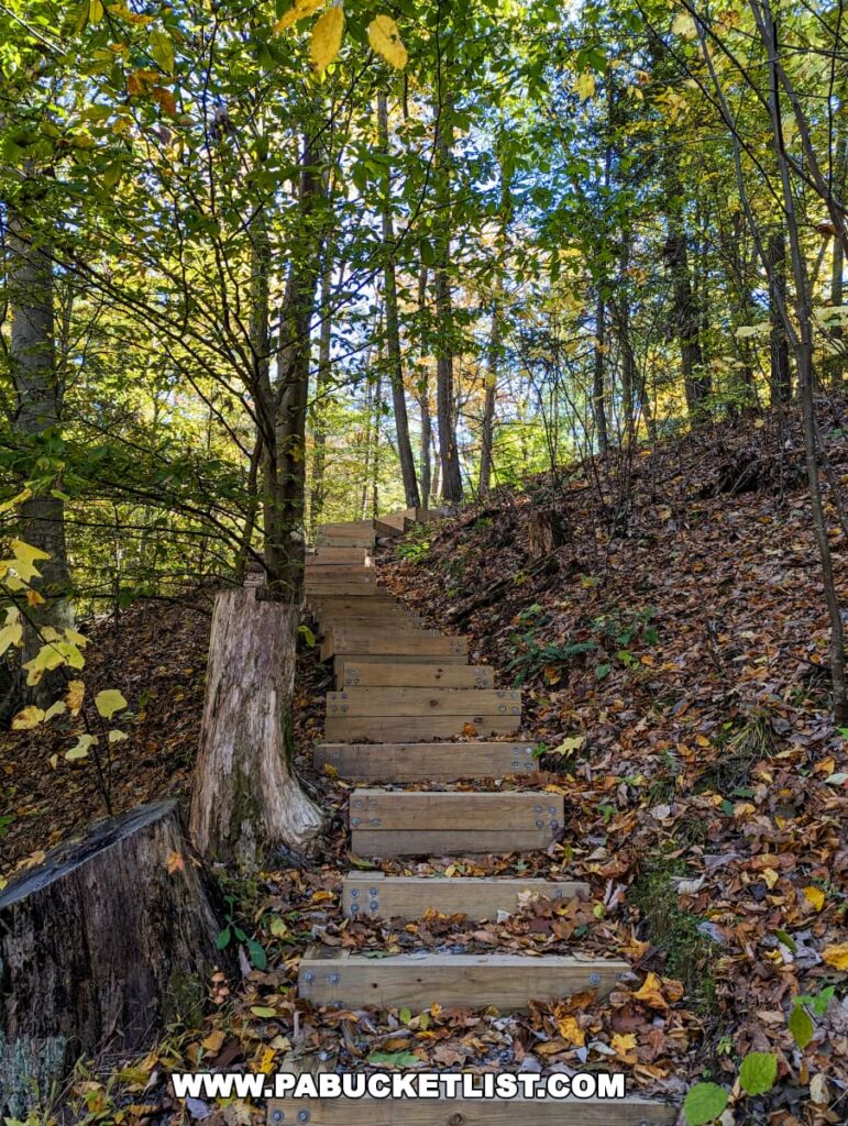 A rustic wooden staircase winds its way up a lush green hillside in Colonel Denning State Park, Pennsylvania. Sunlight filters through the trees, casting dappled light on the path and creating a sense of tranquility.
