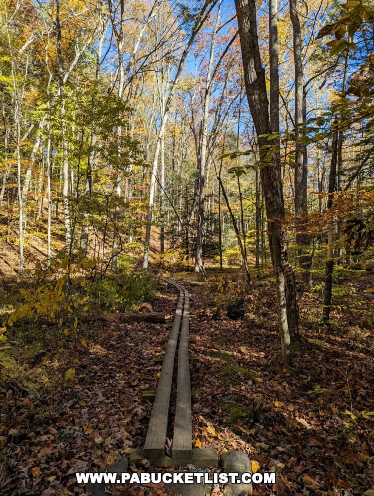 A photo of a wooden path winding through a dense forest at Colonel Denning State Park in Cumberland County, Pennsylvania. The path is lined with fallen leaves and surrounded by tall trees, creating a picturesque scene of autumn in Pennsylvania.