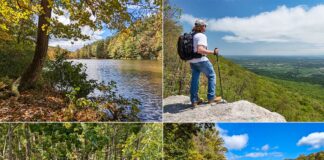 A collage of four photos showcasing Colonel Denning State Park in Cumberland County, PA. Top left: A vibrant autumn scene by a lake with golden leaves framing the tranquil water. Top right: A hiker stands on a rocky overlook, gazing out over a lush, green valley under a clear blue sky. Bottom left: A gravel nature trail marked by a sign winds through a forest with sunlight filtering through the green foliage. Bottom right: A wooden viewing platform at the edge of a serene lake surrounded by dense trees with the sun casting a warm glow over the scene.