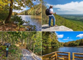 A collage of four photos showcasing Colonel Denning State Park in Cumberland County, PA. Top left: A vibrant autumn scene by a lake with golden leaves framing the tranquil water. Top right: A hiker stands on a rocky overlook, gazing out over a lush, green valley under a clear blue sky. Bottom left: A gravel nature trail marked by a sign winds through a forest with sunlight filtering through the green foliage. Bottom right: A wooden viewing platform at the edge of a serene lake surrounded by dense trees with the sun casting a warm glow over the scene.