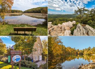 A collage showcasing the beauty of Pine Grove Furnace State Park in Cumberland County, PA, featuring: (top left) a wooden bench overlooking a reflective lake with autumn-colored trees, (top right) a rugged overlook with rocks and a lone pine tree against a landscape of rolling hills and a blue sky with fluffy clouds, (bottom left) an Appalachian Trail Museum sign in front of a historic stone building surrounded by lush greenery, and (bottom right) a serene lake scene with a mirror-like reflection of fall foliage on the water's surface.