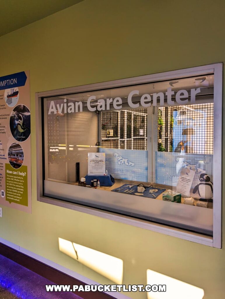 A window display of the Avian Care Center at the National Aviary in Pittsburgh PA. Above the window, the words "Avian Care Center" are prominently displayed. Inside the window, there are various educational materials and pamphlets, along with a model of a penguin and some medical supplies that demonstrate the care provided at the facility. The National Aviary logo is visible, alongside text and graphics on environmental conservation.