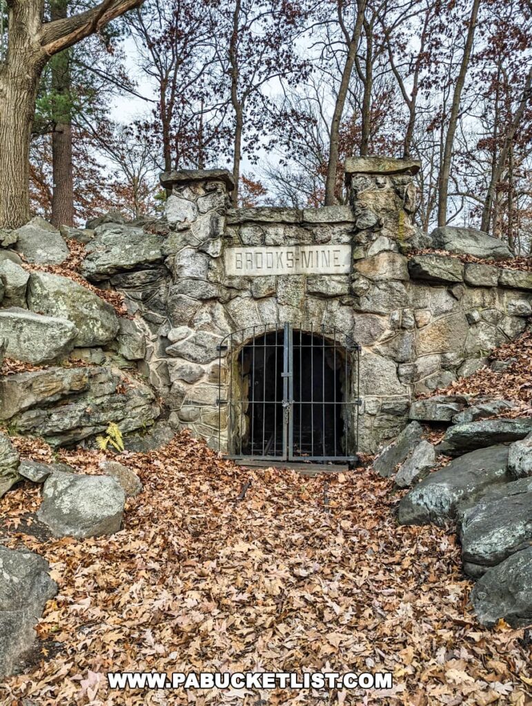 The historic entrance to the Brooks Coal Mine in Nay Aug Park, Scranton, Pennsylvania, partially covered with autumn leaves. The entrance features a gated archway set within a stone structure, with the name 'BROOKS MINE' inscribed above. Tall trees with sparse, late autumn foliage stand guard around this old mine, adding to the historic ambience of the scene.