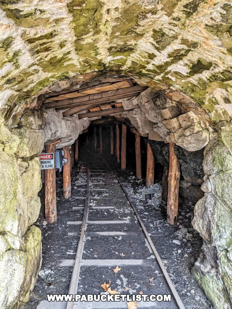 Interior view of the Brooks Coal Mine tunnel at Nay Aug Park in Scranton, Pennsylvania. The tunnel entrance shows moss-covered stone arches and wooden support beams. Railroad tracks lead into the dark depths of the mine. A warning sign for 'DANGER NO SMOKING OPEN FLAME' is visible, indicating the hazardous nature of the environment within the historic coal mine.