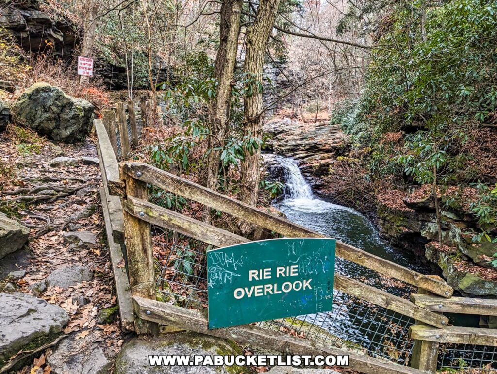 The 'Rie Rie Overlook' at Nay Aug Park in Scranton, Pennsylvania, with a rustic wooden railing leading towards a waterfall. The overlook sign is vandalized with graffiti, and a 'No Swimming' sign is visible in the background. The area is rich with rocks, fallen leaves, and dense evergreen shrubbery, highlighting the natural beauty of the park.