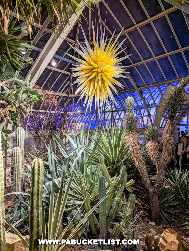 A vibrant display at the Phipps Conservatory Holiday Magic Winter Flower Show and Light Garden, featuring a variety of cacti and desert plants under a glass roof, with a striking yellow glass sculpture hanging above, against a backdrop of a dark night sky visible through the transparent ceiling.