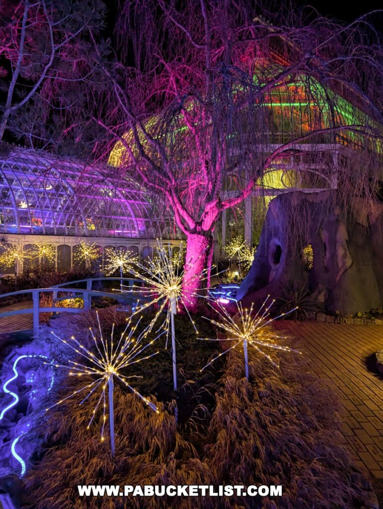 A night-time scene at the Phipps Conservatory Holiday Magic Winter Flower Show and Light Garden with a tree dramatically lit in pink, standing beside sparkling starburst light sculptures and a winding blue neon stream, all set against the conservatory’s glass structure glowing with rainbow colors in the background.