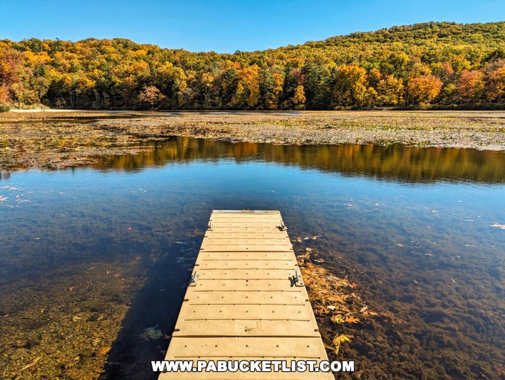 A wooden dock extends into the tranquil waters of Laurel Lake at Pine Grove Furnace State Park, Cumberland County, PA, surrounded by a vibrant autumn landscape. The forest is ablaze with fall colors ranging from green to yellow, orange, and red. The clear water reveals a rocky lakebed peppered with fallen leaves.