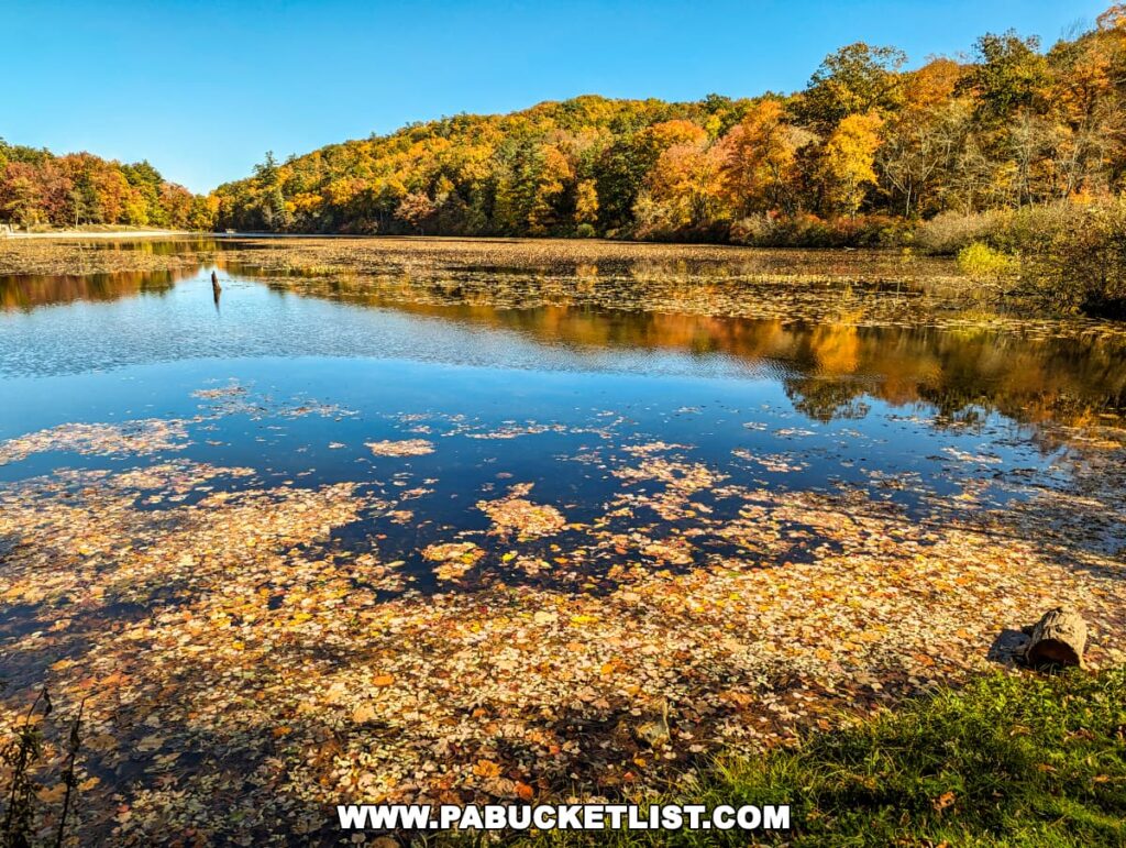 A picturesque autumn scene at Laurel Lake in Pine Grove Furnace State Park, Cumberland County, PA, featuring a carpet of colorful fallen leaves floating on the water's surface. The surrounding forest is rich with fall foliage in vibrant oranges, yellows, and reds, reflecting in the calm lake. A clear blue sky enhances the warm autumn colors.
