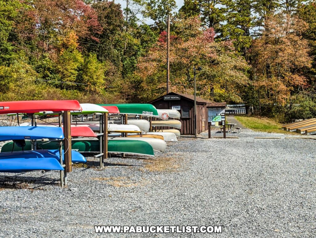 Stacked colorful kayaks and canoes at a boat rental facility in Pine Grove Furnace State Park, Cumberland County, PA. The rack of boats features an array of colors including blue, red, green, and yellow, ready for visitors to enjoy on the water. Behind the boat rental hut, autumn trees with foliage of red, orange, and green can be seen, signaling the changing seasons. A gravel path leads past the boat rental, inviting park visitors to explore further.