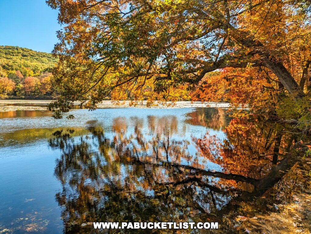 Autumnal beauty at Laurel Lake in Pine Grove Furnace State Park, Cumberland County, PA, with a foreground of branches featuring orange and yellow leaves. The calm lake reflects the vibrant fall colors and clear blue sky, while the background shows a tree-lined shore and a hill with dense foliage.