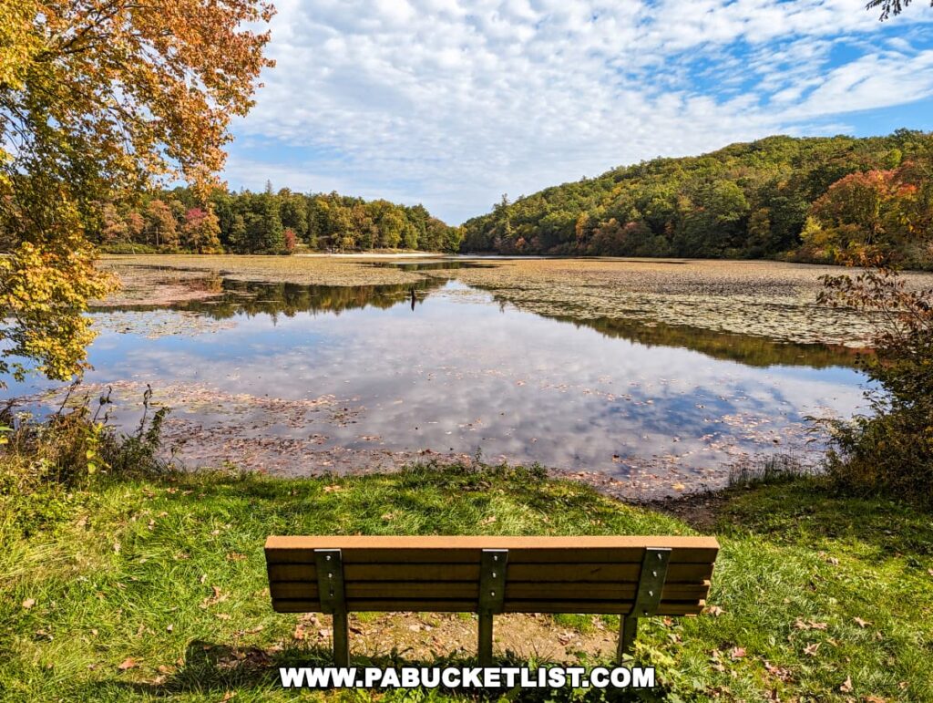 A tranquil view of Laurel Lake at Pine Grove Furnace State Park, Cumberland County, PA, framed by a foreground of a solitary park bench overlooking the water. Autumn leaves are scattered across the grass and lake, where they float gently. Trees in mid-autumn colors of green, yellow, and red line the far shore under a partly cloudy sky.