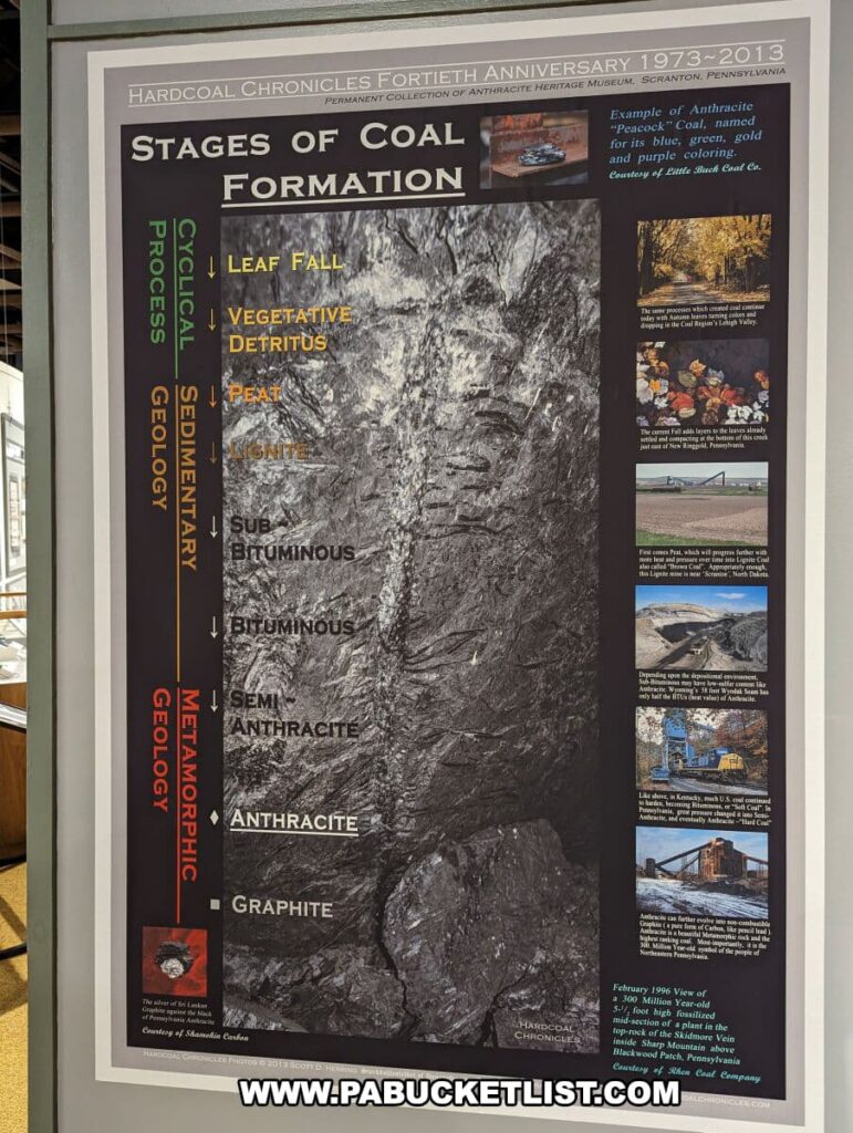 Educational display at the Anthracite Heritage Museum in Scranton, PA, illustrating the 'Stages of Coal Formation'. The panel includes a detailed geological timeline with text and images, explaining the transformation from leaf fall to graphite. It highlights the different types of coal, such as lignite, bituminous, and anthracite, with an actual anthracite coal sample featured prominently. The exhibit educates on the natural process of coal formation and its historical significance in Pennsylvania.