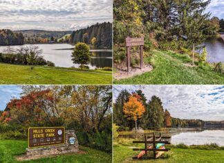 A collage of four photos showcasing various scenes from Hills Creek State Park in Tioga County, Pennsylvania. Top left: A view over a green hillside to a tranquil lake surrounded by forested hills under a cloudy sky. Top right: The start of the "Lakeside Trail" marked by a wooden signpost beside the lake, with tall pines framing the path. Bottom left: The park's entrance sign set on a stone base, displaying the name "HILLS CREEK STATE PARK" and surrounded by trees with fall foliage. Bottom right: A picnic area with a wooden table and colorful kayaks beside the calm lake, with autumn trees reflecting in the water and a cloudy sky above. Each image captures the natural beauty and recreational opportunities the park offers throughout the seasons.