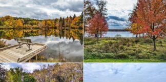 This collage contains four images from Yellow Creek State Park in Indiana County, Pennsylvania. The top left photo shows a wooden dock with a bench overlooking the reflective waters of a lake surrounded by autumn-colored trees. The top right photo depicts an open grassy area with red autumn trees and a view of the lake in the distance. The bottom left image features the park's brown entrance sign with white lettering, set against a backdrop of greenery and fall foliage. The bottom right photo shows a sandy beach area with a picnic table, the lake, and forested hills in the background under a cloudy sky.