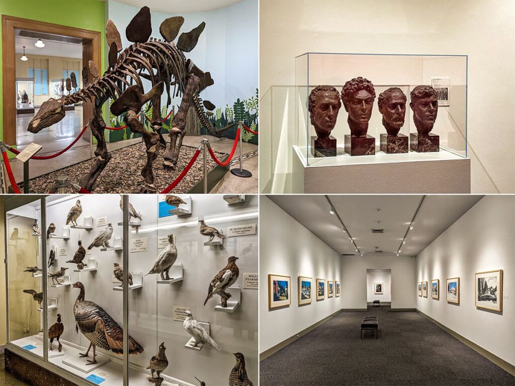 A collage showcasing various exhibits at the Everhart Museum in Scranton, Pennsylvania. The top-left image features a reconstructed dinosaur skeleton in a dynamic pose. The top-right displays a collection of bronze busts. The bottom-left picture presents an array of bird taxidermy, and the bottom-right shows an art gallery with paintings hung on white walls, with a bench for contemplation. Each image captures the museum's diverse offerings, from natural history to fine arts, providing an engaging experience for visitors of all interests.